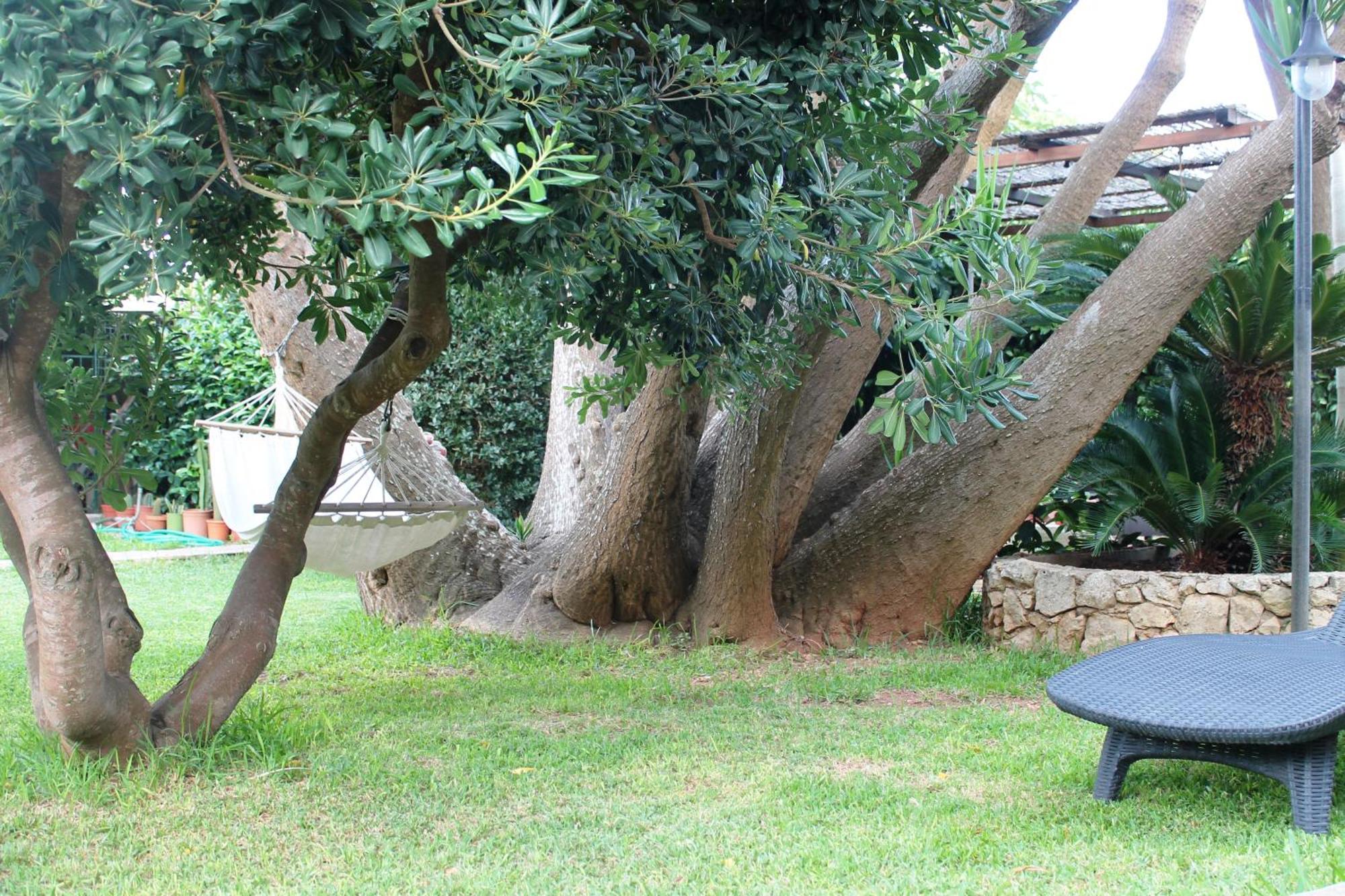 Holiday home Terra Di Mare Loc. Turistica *